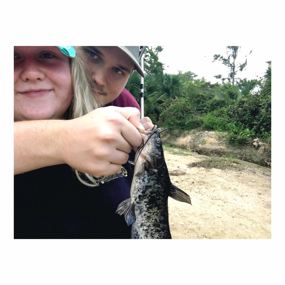 Meet your Posher, Sandy